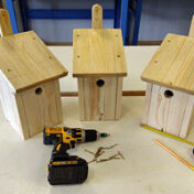 Nistkästen und Werkzeug